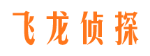 枫溪市侦探公司